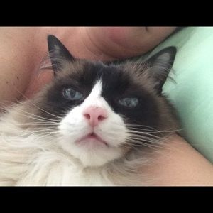 Meet your Posher, Brooke